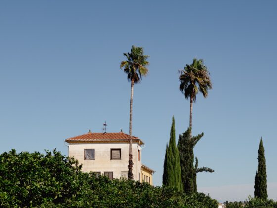 Huerto Ribera, Valencia