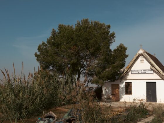 By the water in El Palmar, Valencia